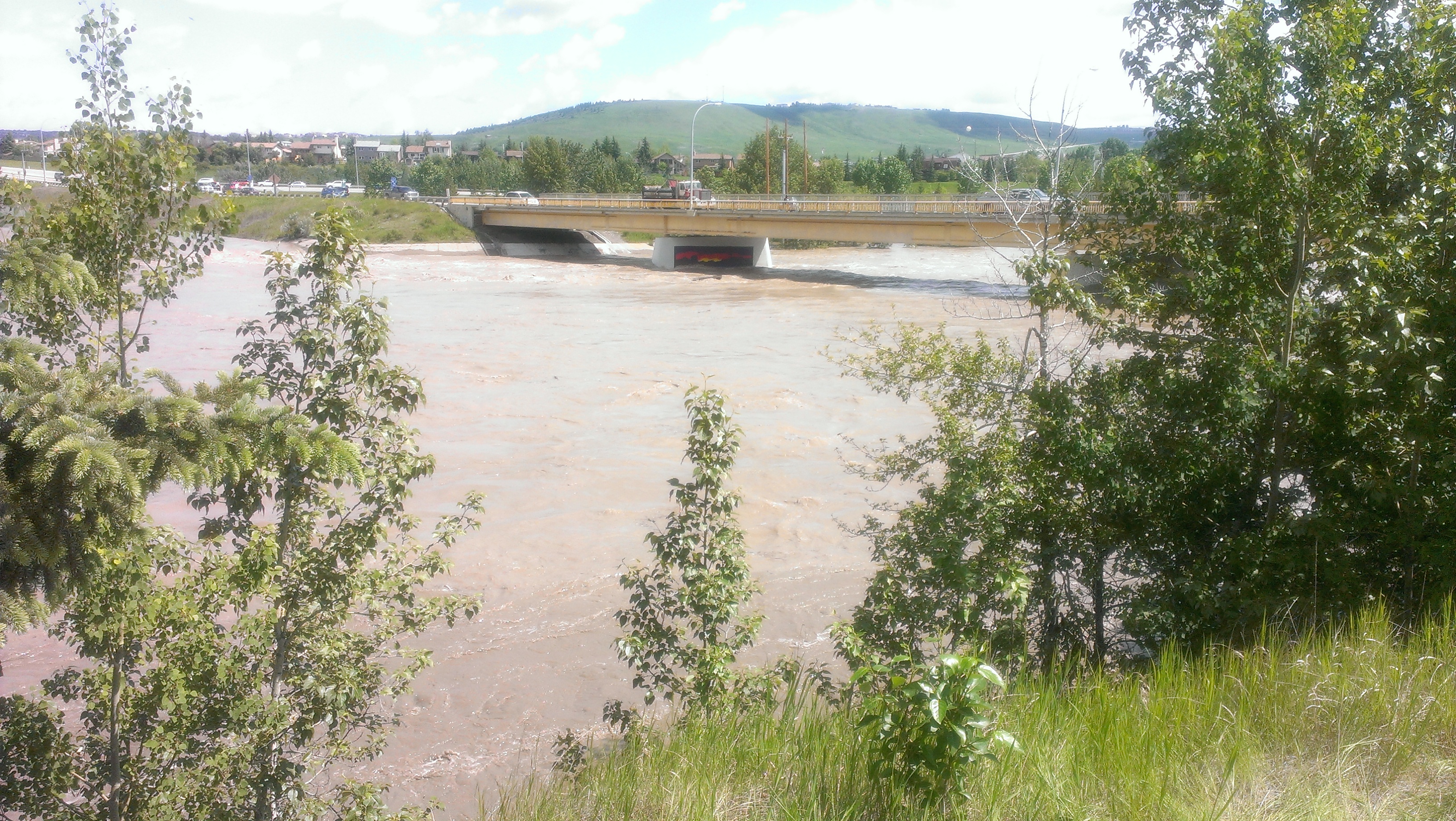 IMAG0091